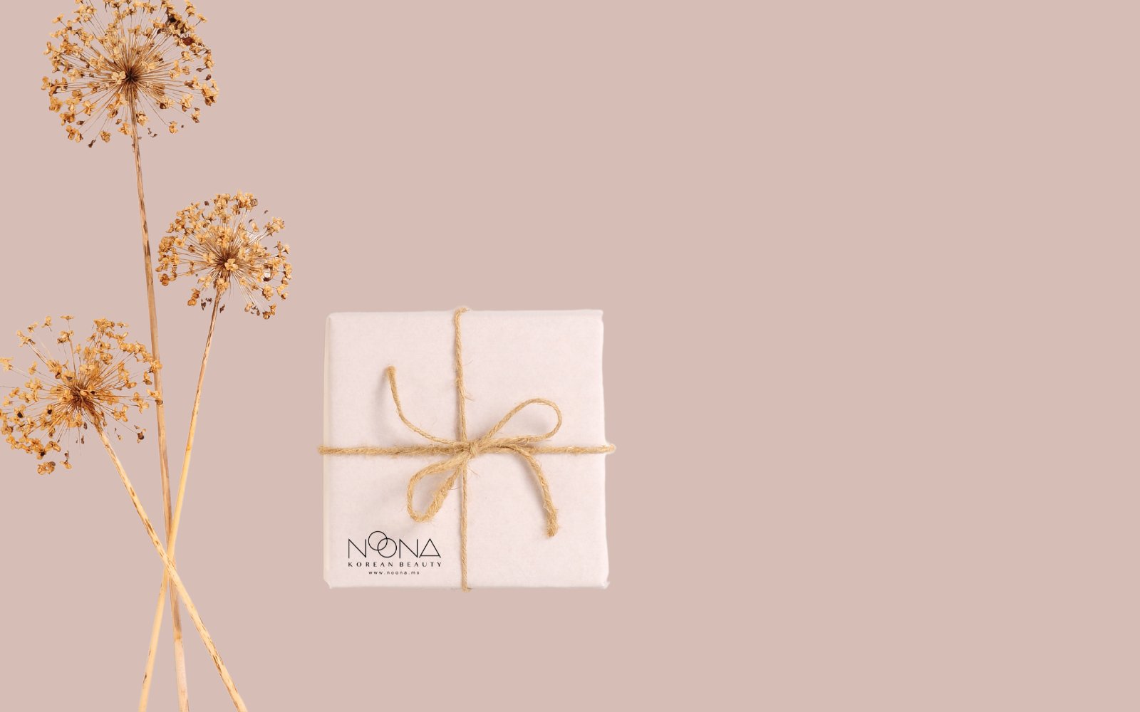 Novedades